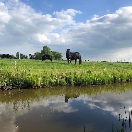 Vakantiehuis In Friesland Voor De Hele Familie Huns ภายนอก รูปภาพ