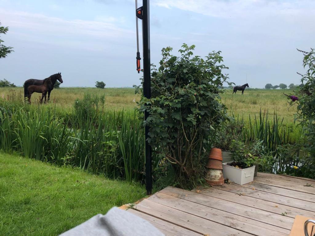 Vakantiehuis In Friesland Voor De Hele Familie Huns ภายนอก รูปภาพ