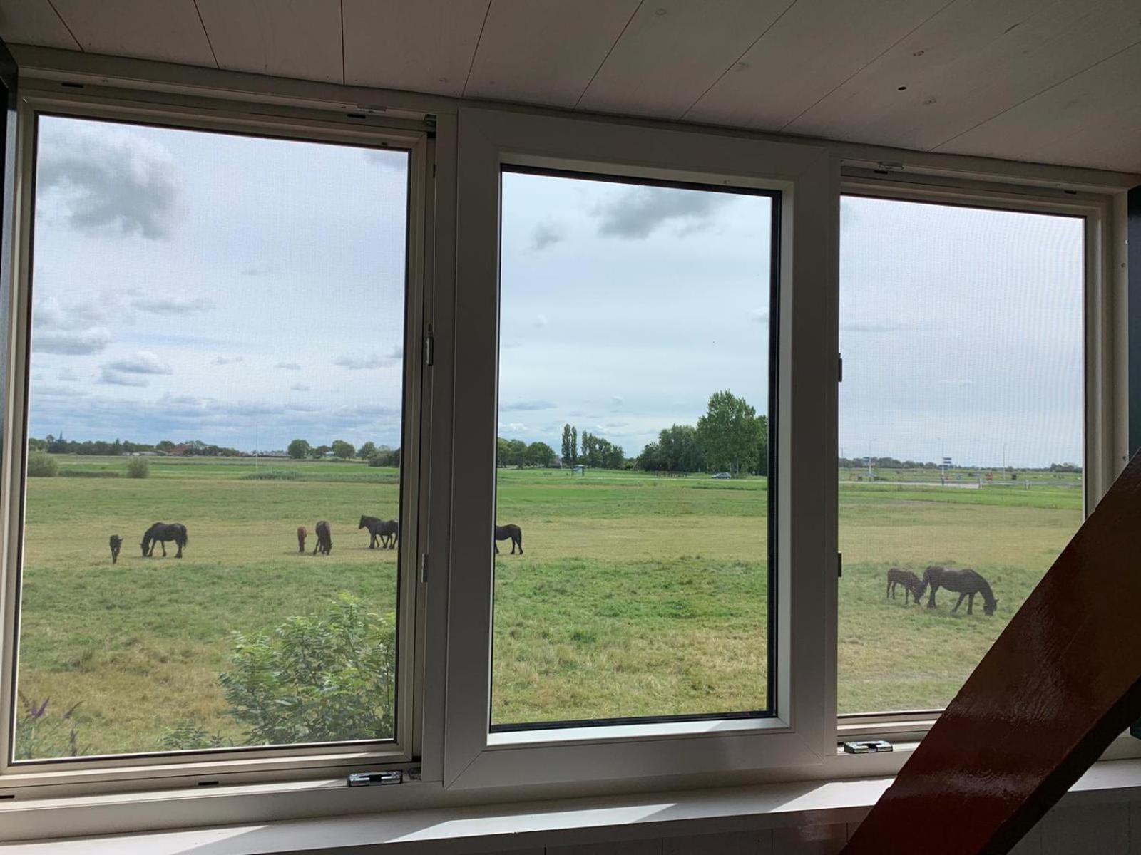 Vakantiehuis In Friesland Voor De Hele Familie Huns ภายนอก รูปภาพ