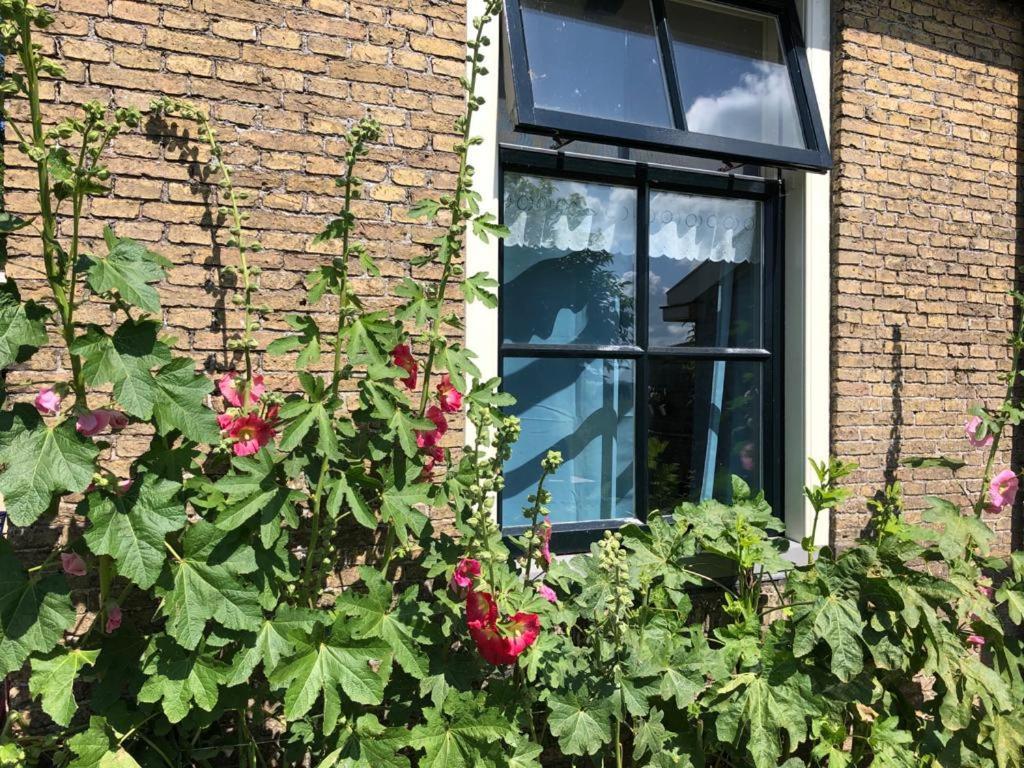 Vakantiehuis In Friesland Voor De Hele Familie Huns ภายนอก รูปภาพ